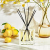 NEST Fragrances Reed Diffuser in Sunlit Yuzu & Neroli