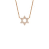 Shy Creation Diamond Star of David Necklace