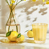 NEST Fragrances Classic Candle in Sunlit Yuzu & Neroli