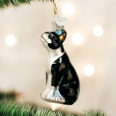 Old World Christmas Boston Terrier Ornament