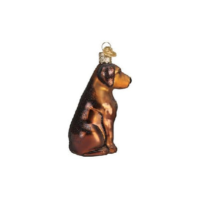 Old World Christmas Chocolate Labrador Ornament